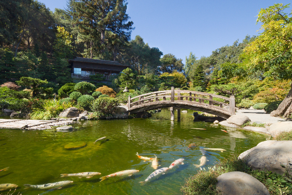 Jardines de Hakone - Saratoga - Saratoga | Secret World Trip Planner