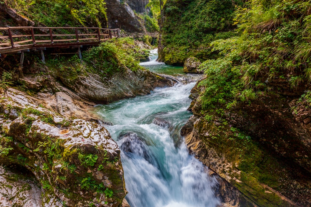 Vintgar-Schlucht, Triglav-Nationalpark - Podhom | Secret World Trip Planner