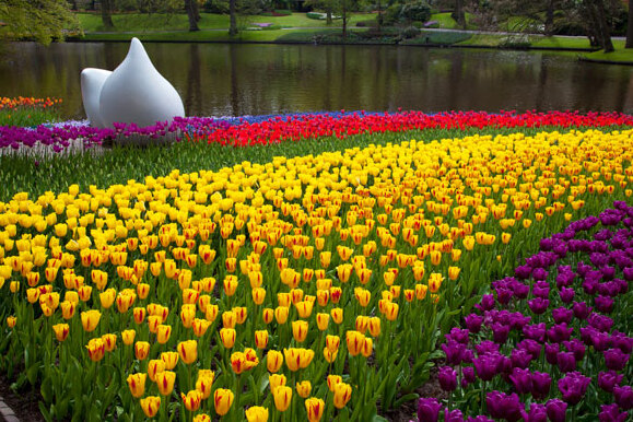 Keukenhof Gardens an Amazing Spring Garden — Lisse