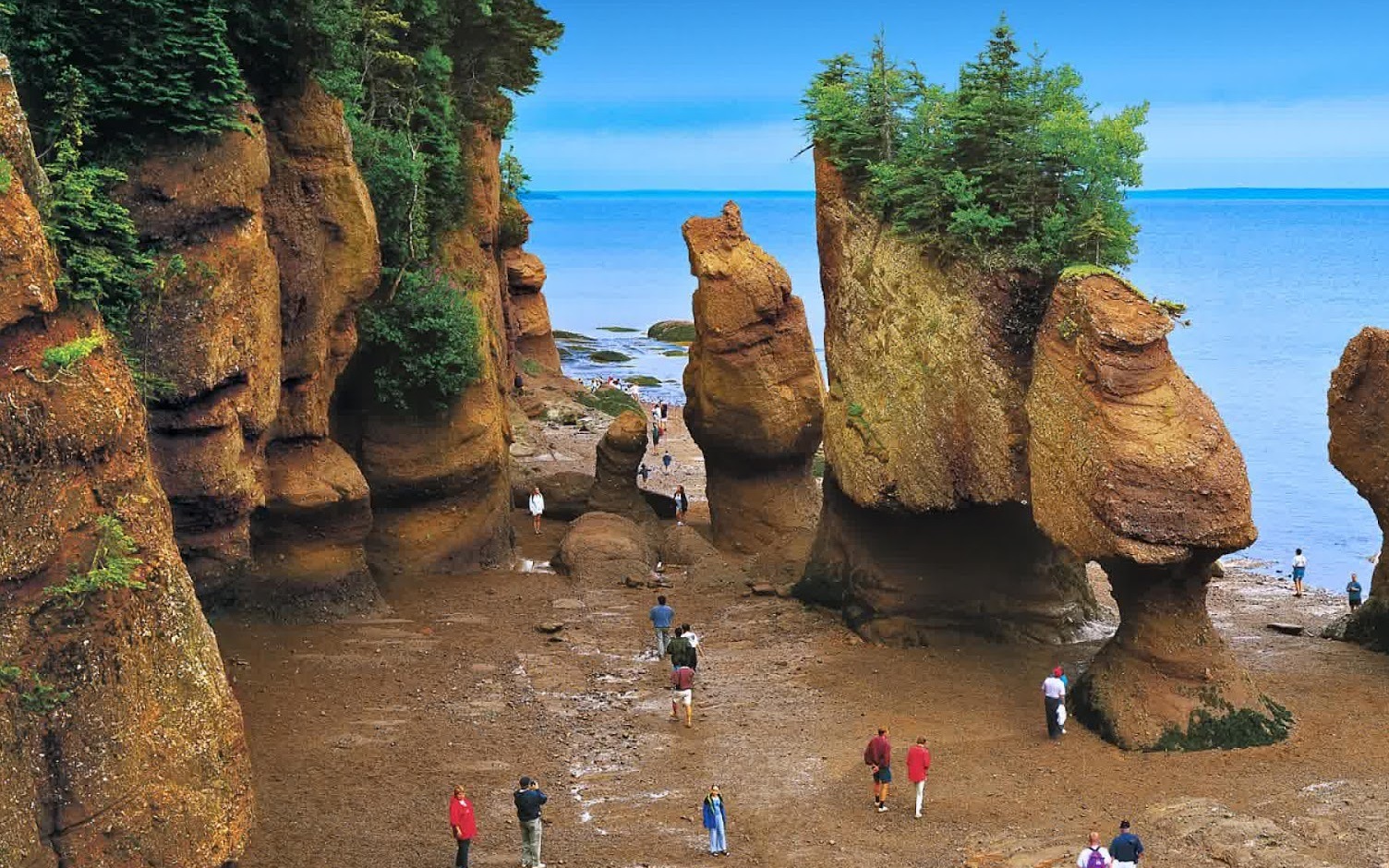 Bahía de Fundy | Secret World Trip Planner