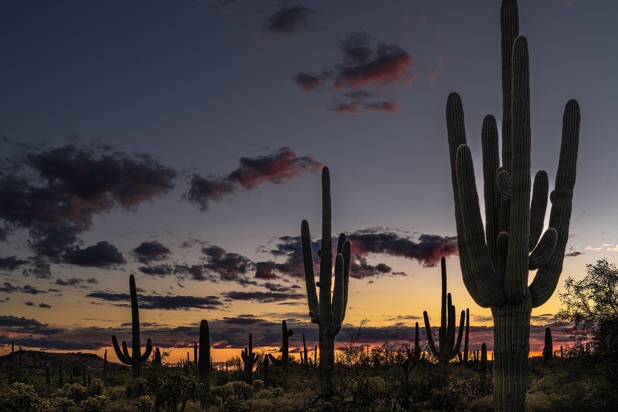 Chimichangas in Arizona - Tucson | Secret World Trip Planner