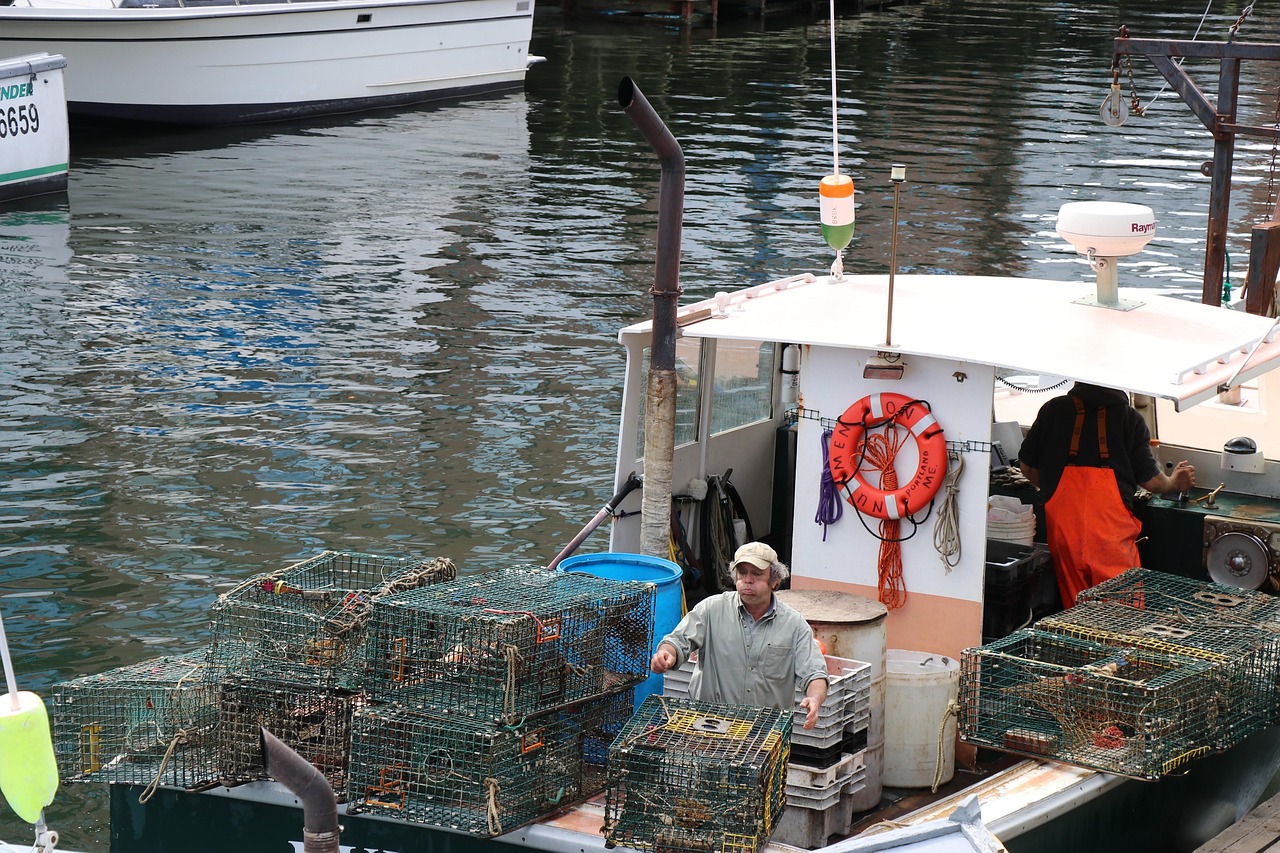 Lobster the true symbol of Maine - Maine | Secret World Trip Planner