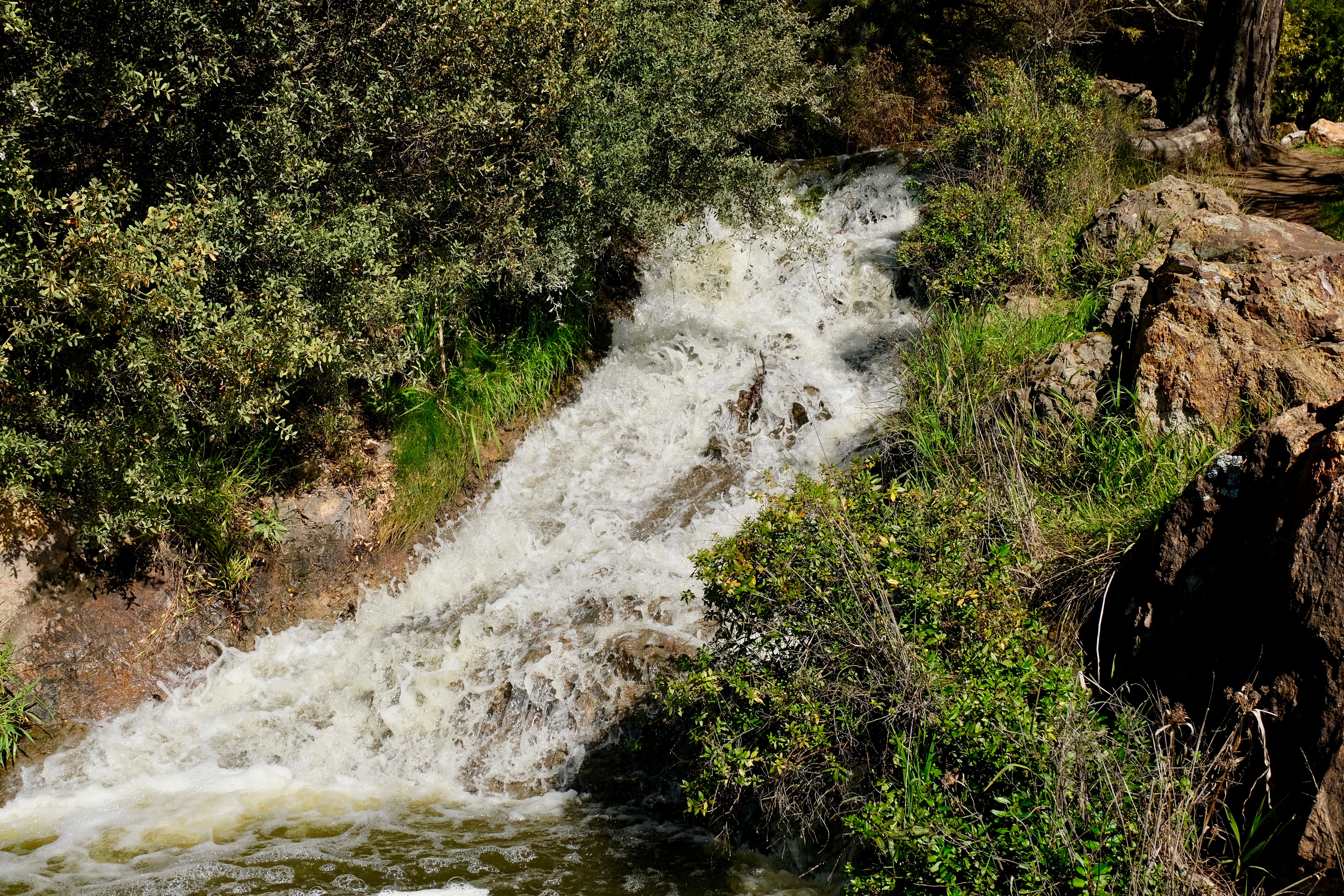 El parque Golden Gate de San Francisco - San Francisco | Secret World Trip Planner