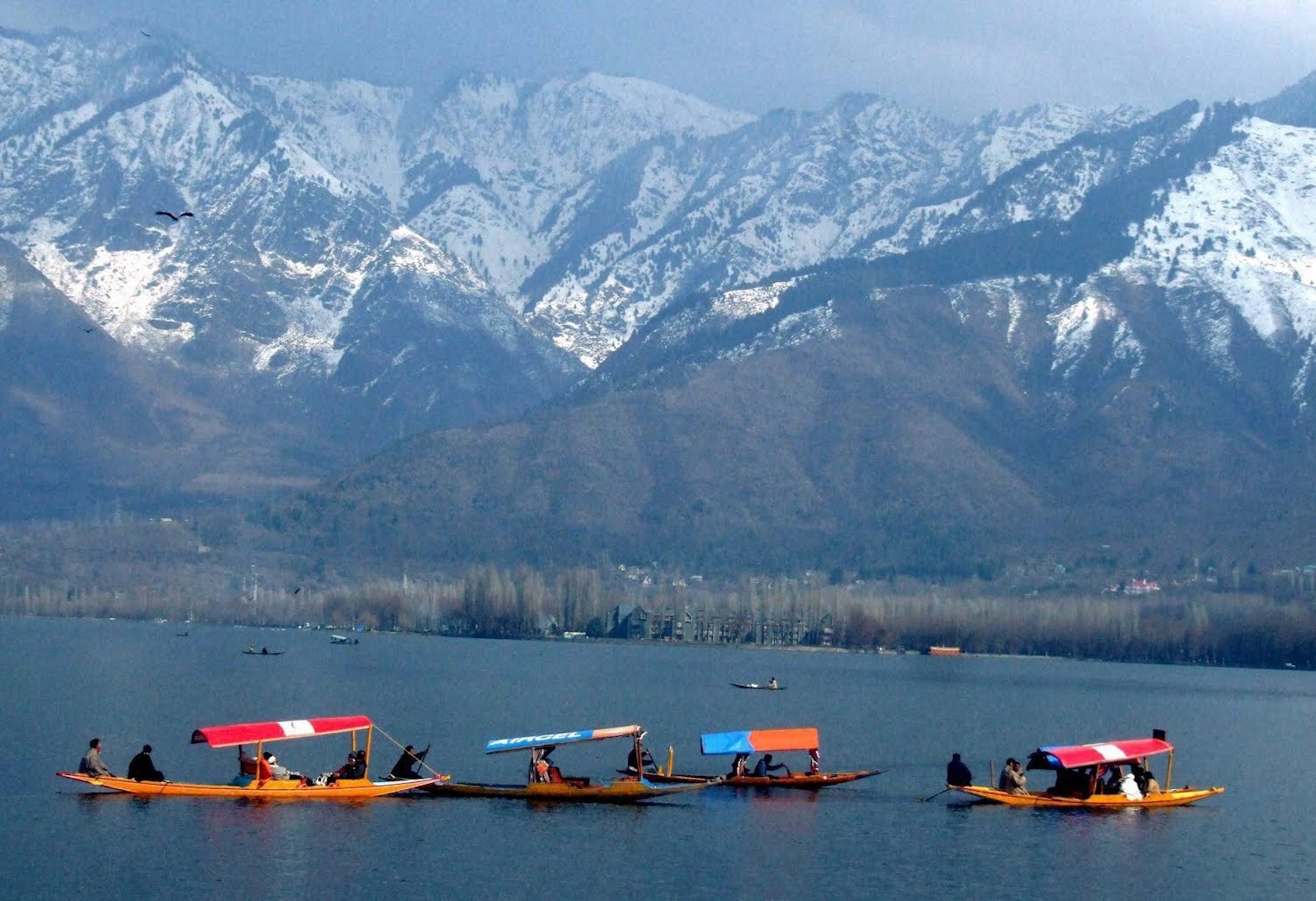 Srinagar — Srinagar