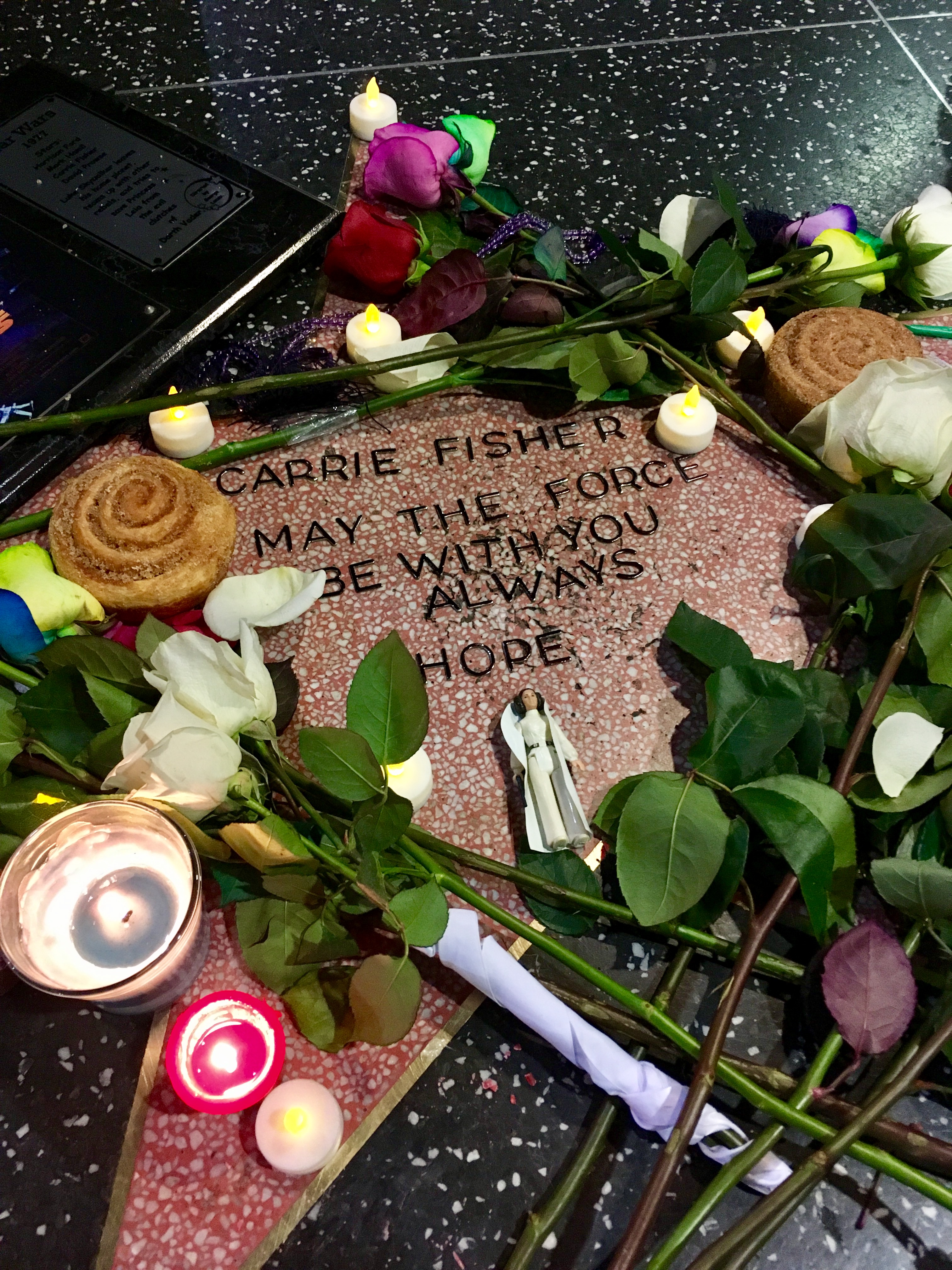 Los Angeles : Hollywood Walk of Fame - Los Angeles | Secret World Trip Planner