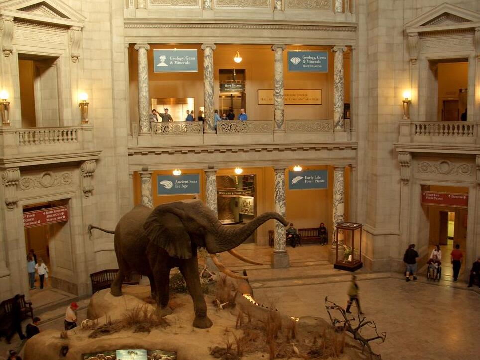 Museo nazionale di storia naturale dello Smithsonian