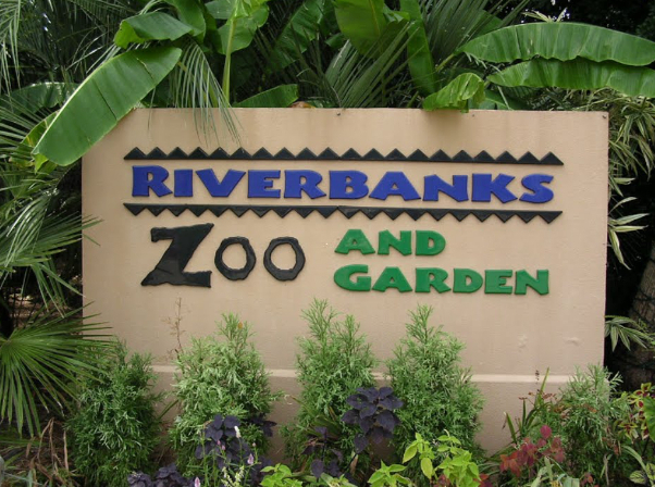 One of America's best zoos, Riverbanks Zoo and Garden — Columbia