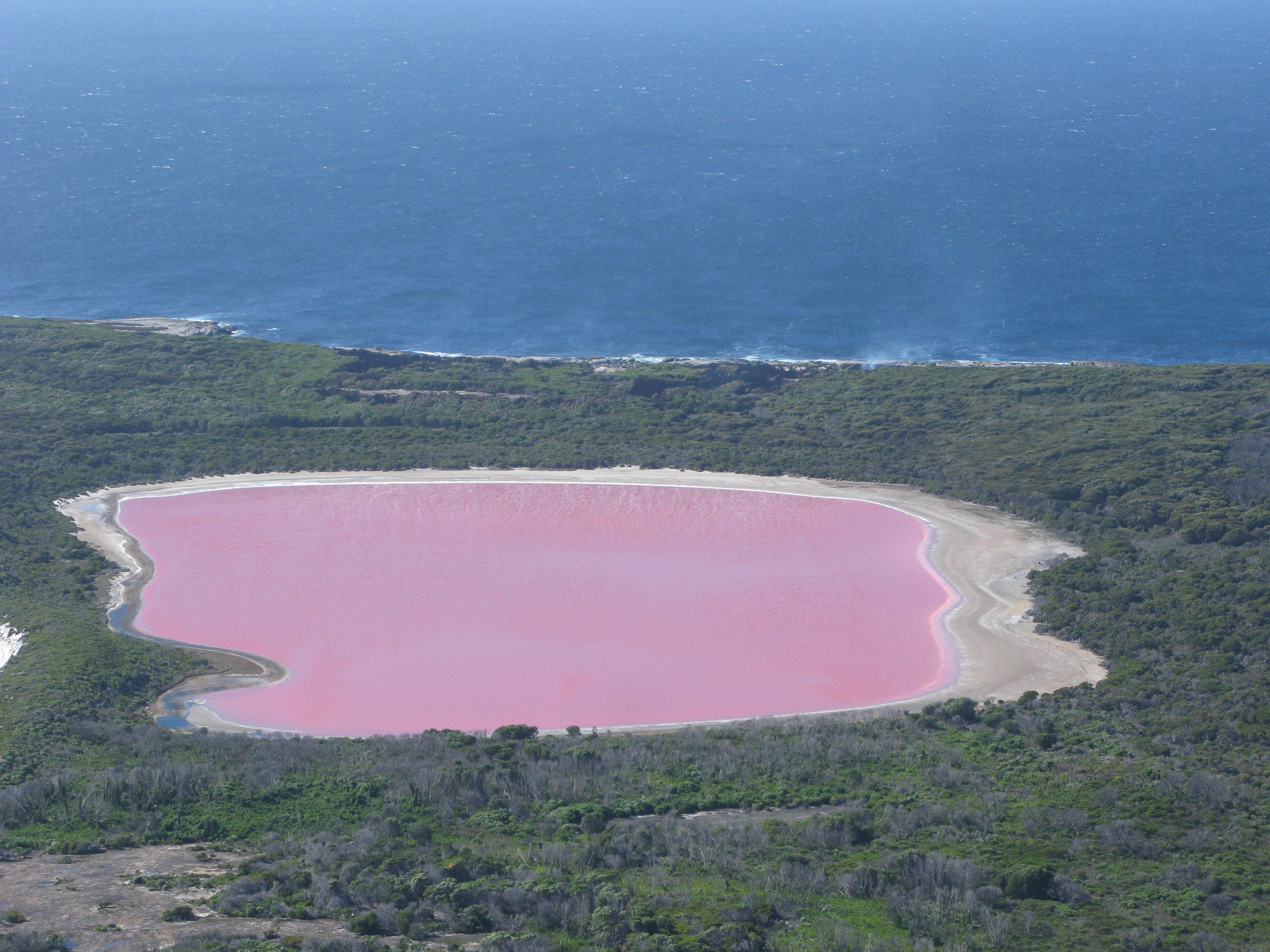 El lago Hillier y el misterio rosa - Australia - Lake Hillier | Secret World Trip Planner
