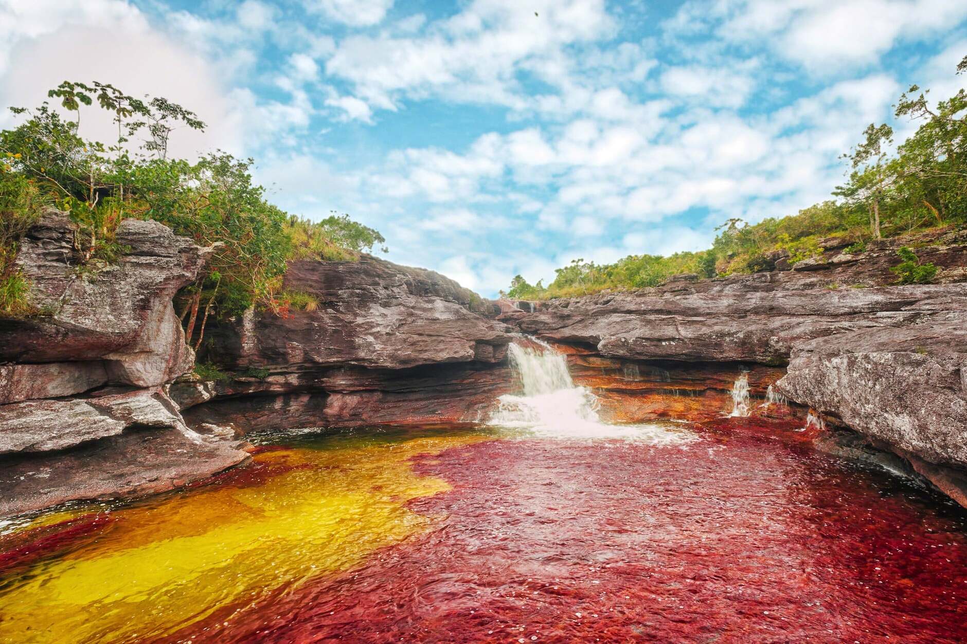 El río Caño Cristales y sus maravillosos colores - Meta | Secret World Trip Planner