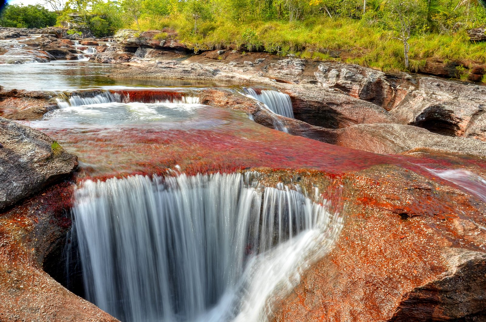 El río Caño Cristales y sus maravillosos colores - Meta | Secret World Trip Planner