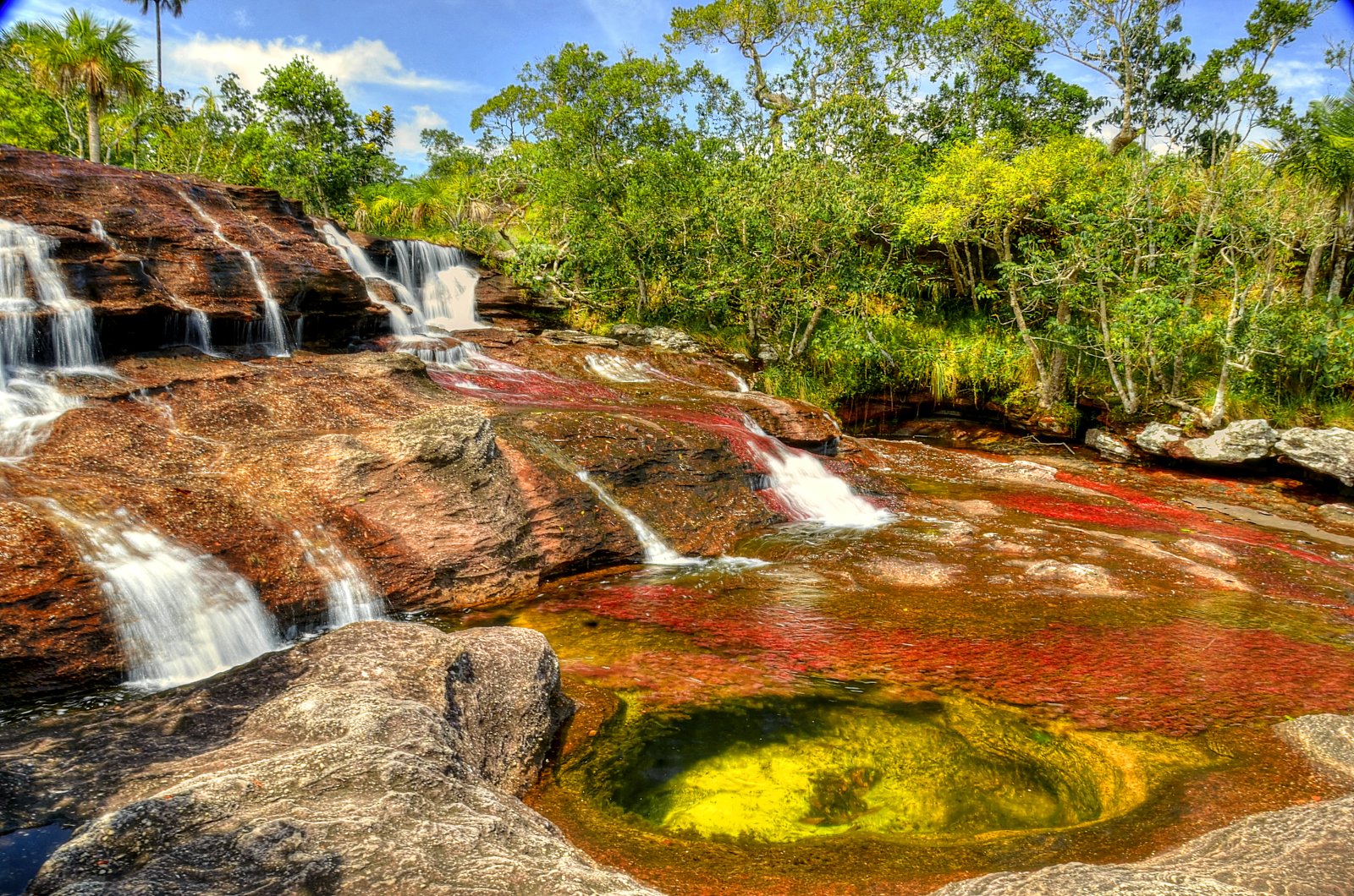El río Caño Cristales y sus maravillosos colores - Meta | Secret World Trip Planner