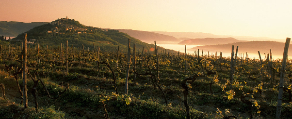 Motovun es un pueblo medioeval de Istria - Montona | Secret World Trip Planner