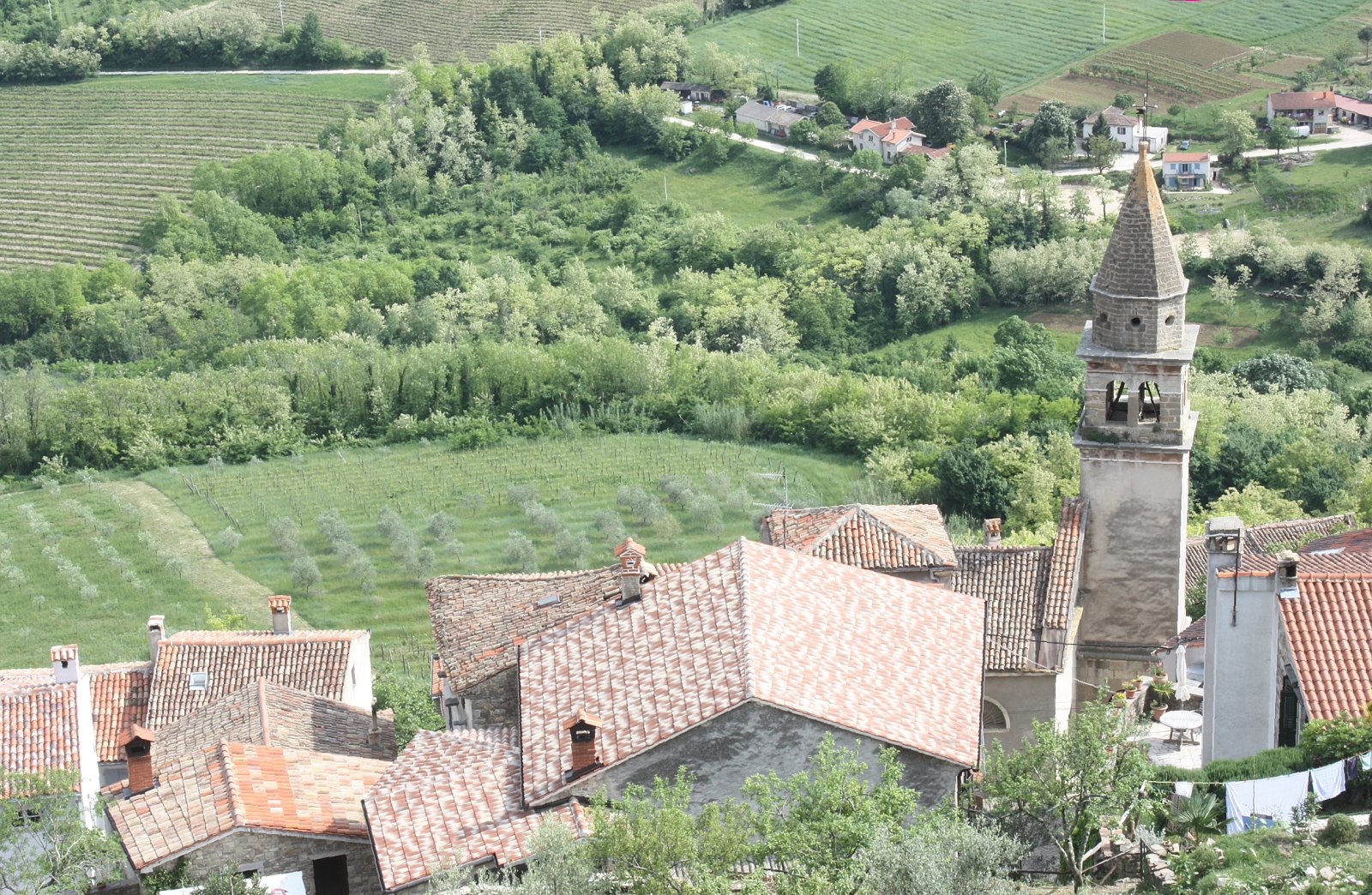 Motovun es un pueblo medioeval de Istria - Montona | Secret World Trip Planner