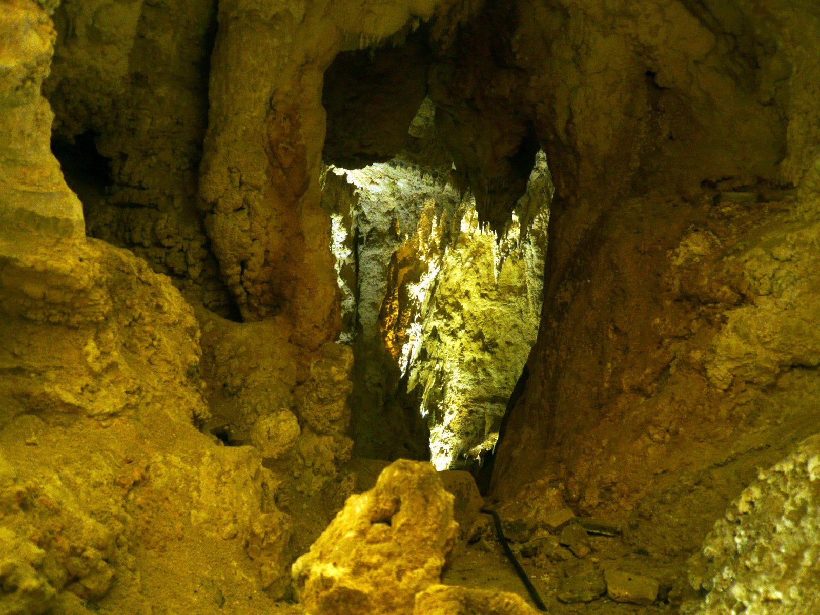 Glowworm Caves - Magical glowworms in New Zeland - Waitomo | Secret World Trip Planner