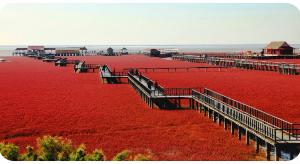 Playa Roja en el condado de Dawa, Panjin, China - Panjin | Secret World Trip Planner