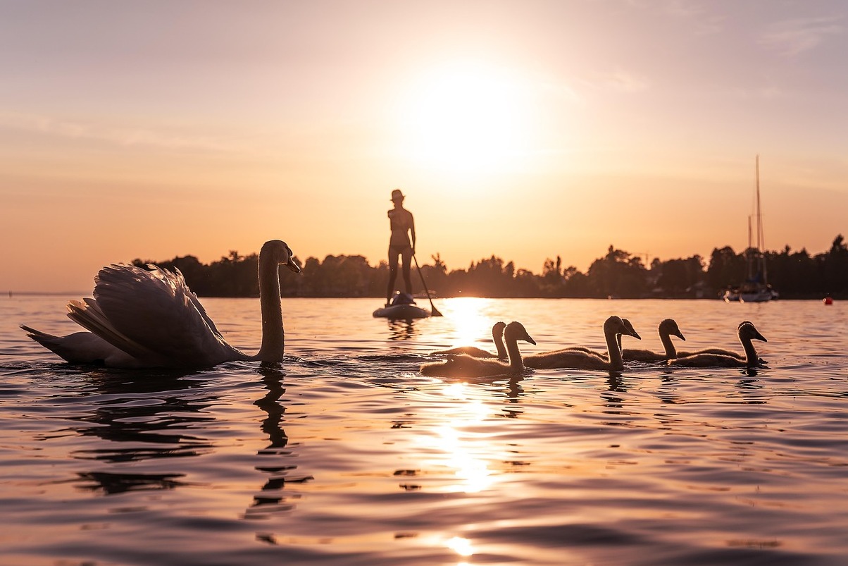 Mainau è un'isola del Lago di Costanza - Costanza | Secret World Trip Planner