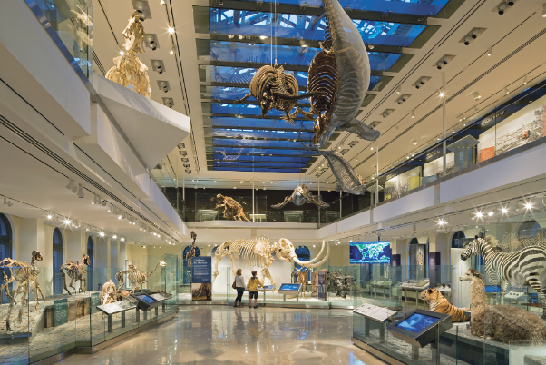 Museo de Historia Natural de Los Ángeles - Los Angeles | Secret World Trip Planner