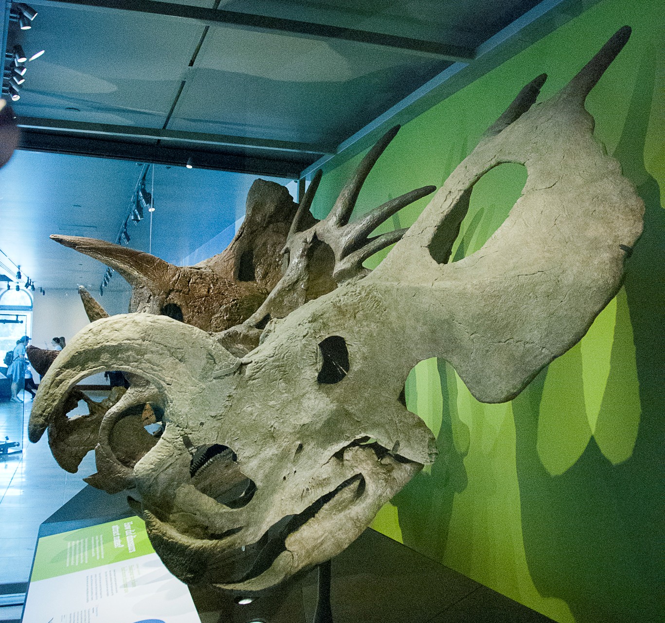 Museo de Historia Natural de Los Ángeles - Los Angeles | Secret World Trip Planner