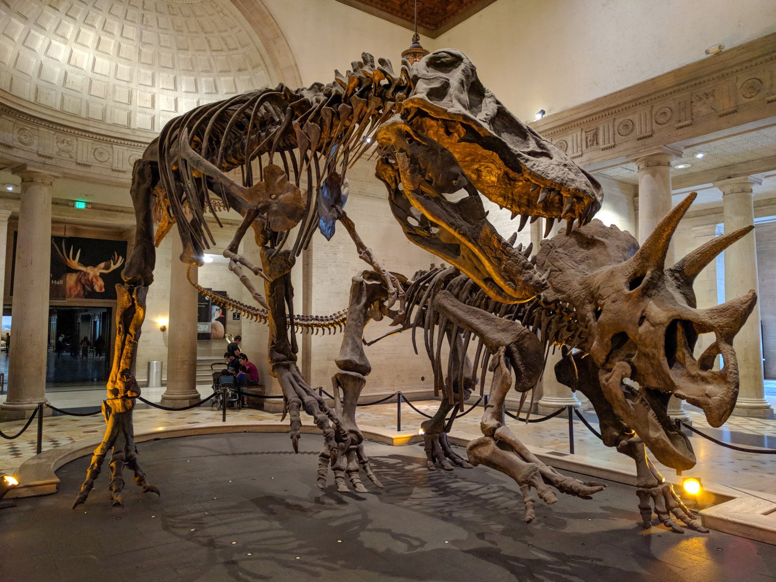 Museo de Historia Natural de Los Ángeles - Los Angeles | Secret World Trip Planner