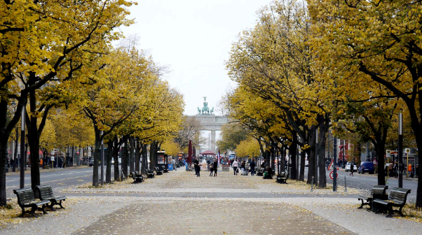 Le Linden est la principale artère de Berlin - Berlin | Secret World Trip Planner
