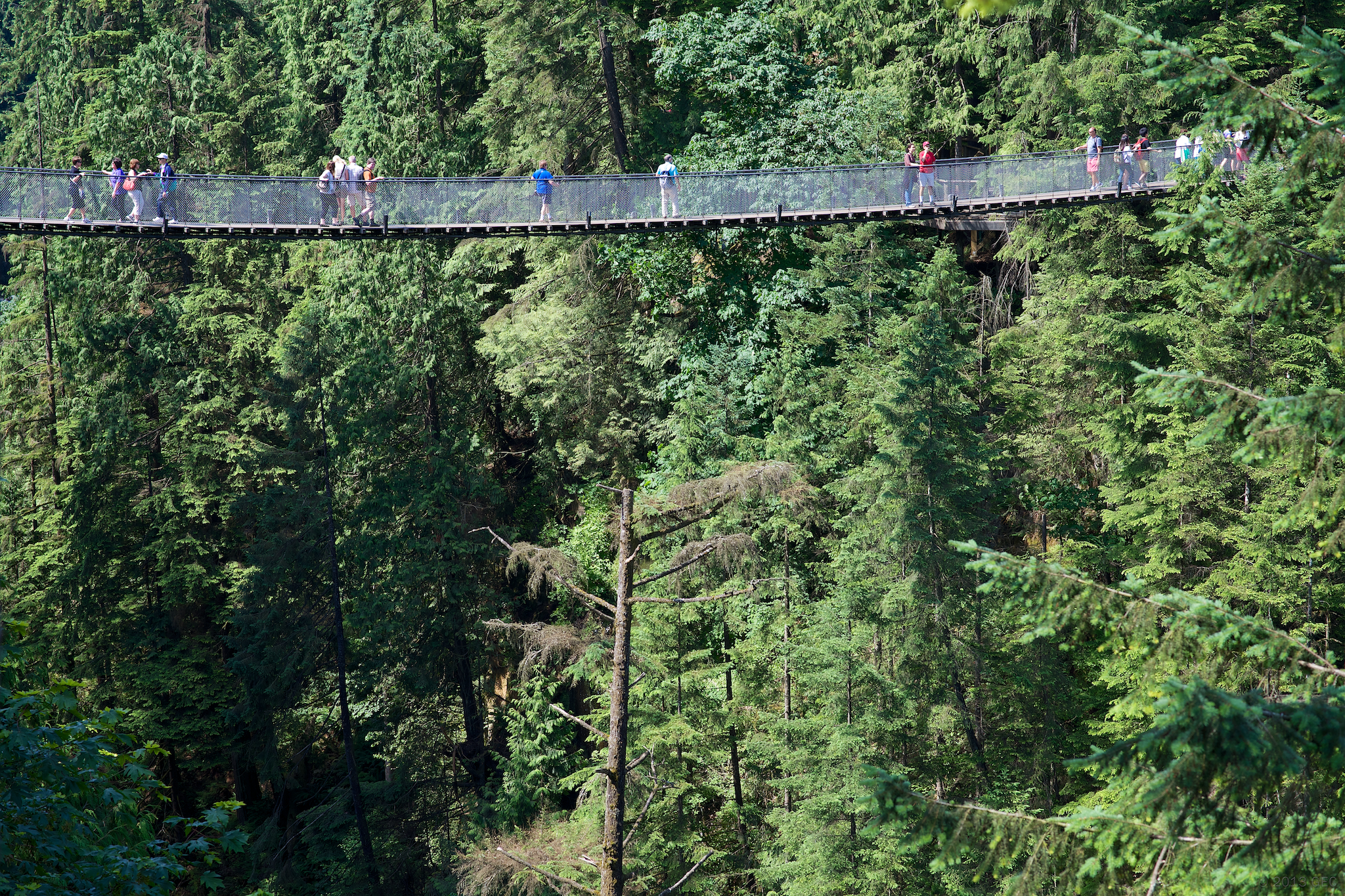 Vancouver - Puente colgante de Capilano - West Vancouver | Secret World Trip Planner