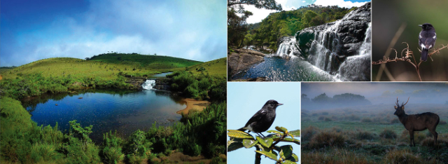 Horton Plains National Park | Secret World Trip Planner