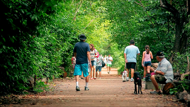 Parc d'État de Cocó - Fortaleza - CE | Secret World Trip Planner