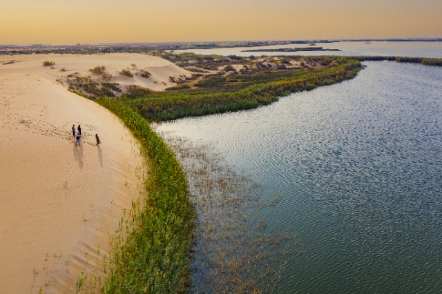 Rawdat Tinhat: Un Paseo Entre Tulipanes - أم رجوم | Secret World Trip Planner
