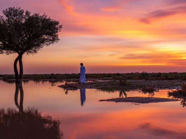 Rawdat Tinhat: Un Paseo Entre Tulipanes - أم رجوم | Secret World Trip Planner