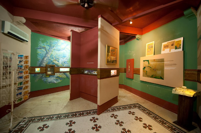 Museo del Ámbar Dominicano - Puerto Plata | Secret World Trip Planner