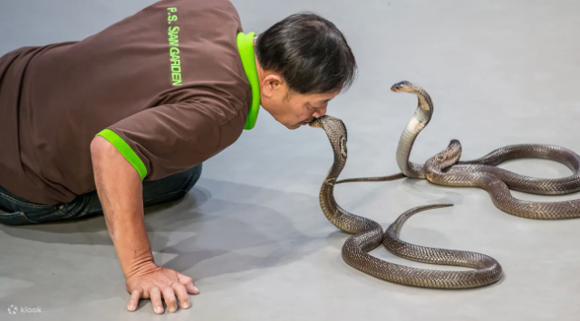 Siam Serpentarium - Khet Lat Krabang | Secret World Trip Planner