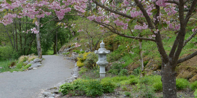 jardín botánico de bergen - Skipanesvegen 45 | Secret World Trip Planner