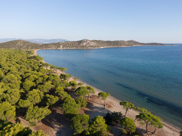 La spiaggia di Schinias - Marathon | Secret World Trip Planner