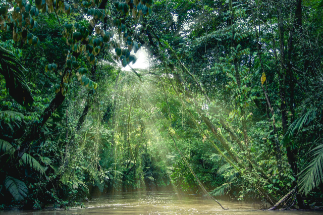 Parco Nazionale Tortuguero - Roxana | Secret World Trip Planner