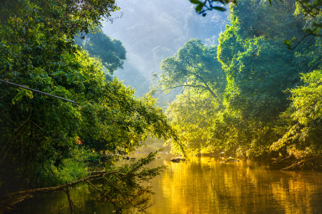 Parco Nazionale Corcovado — Los Patos Sirena Trail