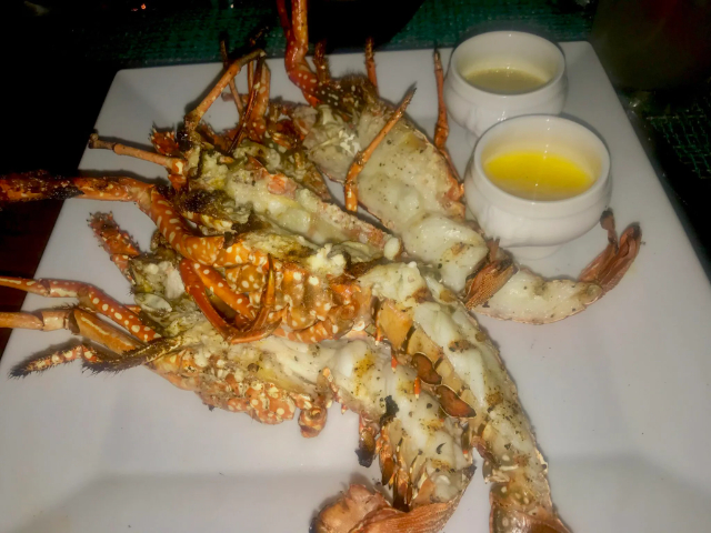 Anguilla Crayfish