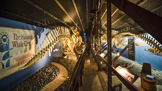 Museo della Balena — Húsavík