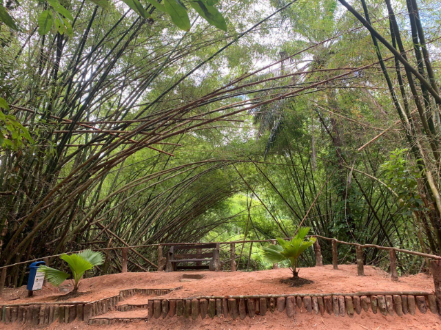 Parco Municipale di Maceio — Maceió - AL