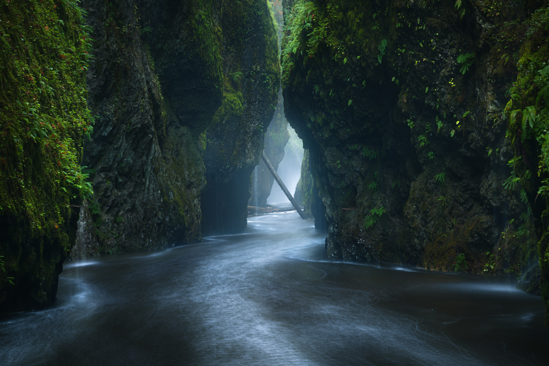 Oneonta Gorge - Oneonta Gorge | Secret World Trip Planner