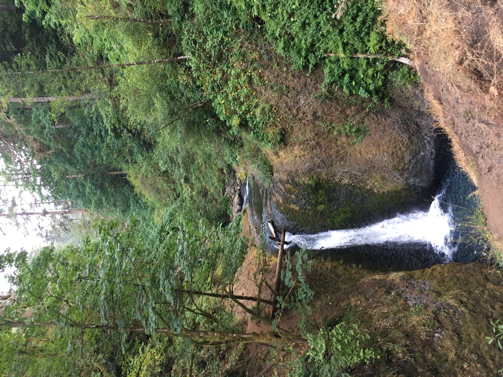 Oneonta Gorge - Oneonta Gorge | Secret World Trip Planner