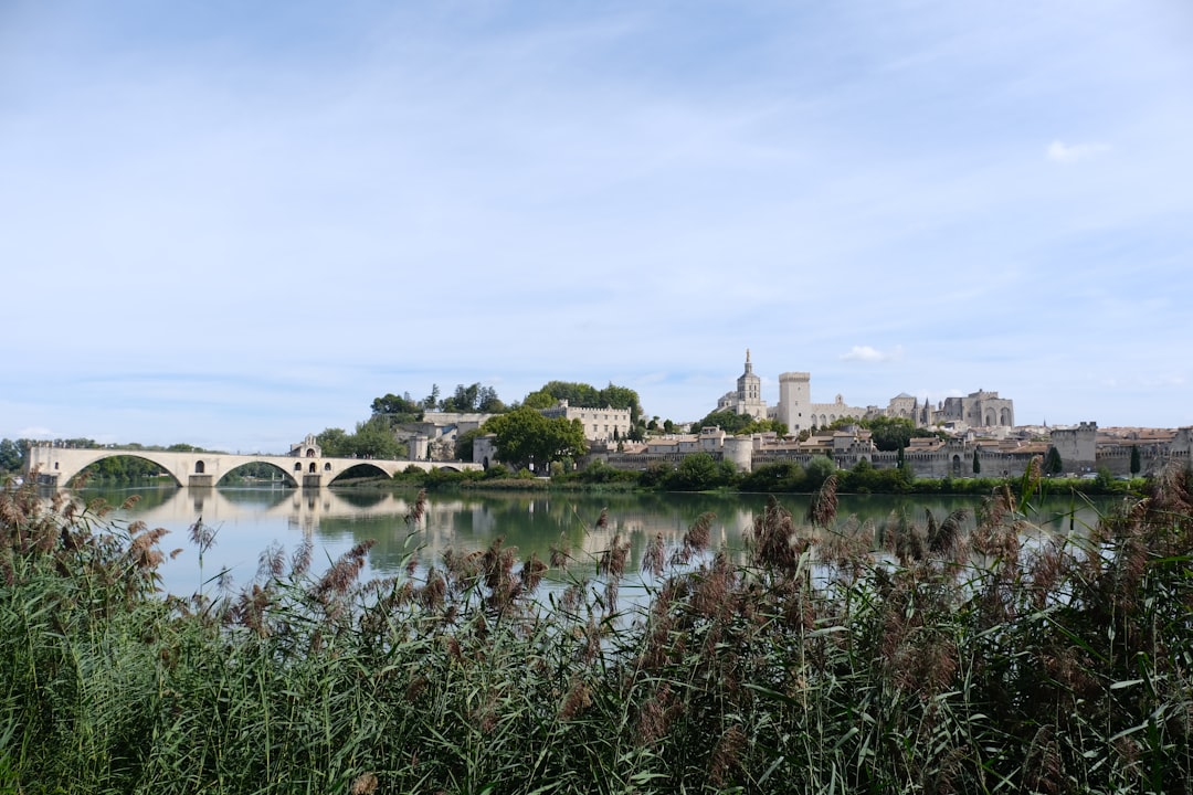 Villeneuve-lès-Avignon והעיר האפיפיורים - Villeneuve-lès-Avignon | Secret World Trip Planner
