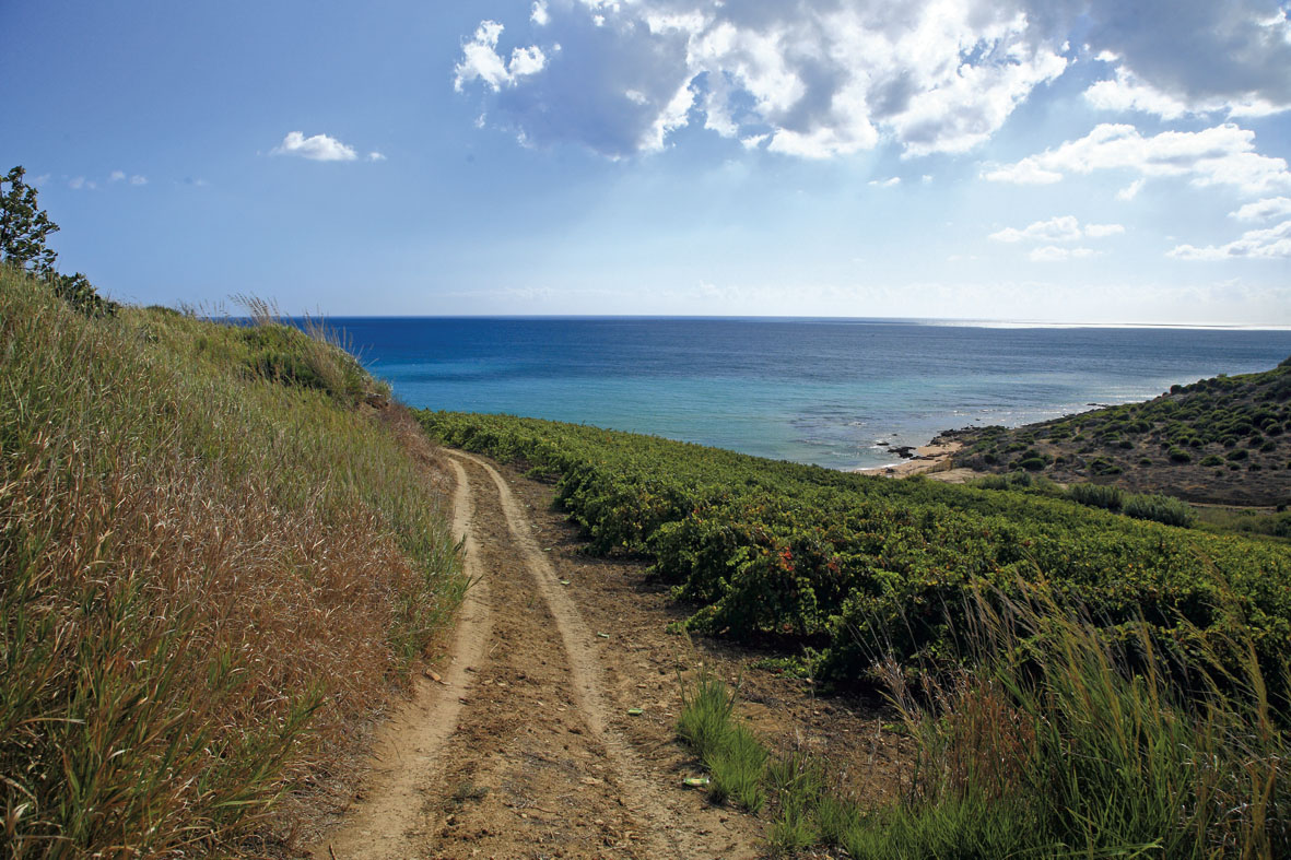 Memphis... ghrian, farraige, stair agus bia agus fíona - Menfi | Secret World Trip Planner