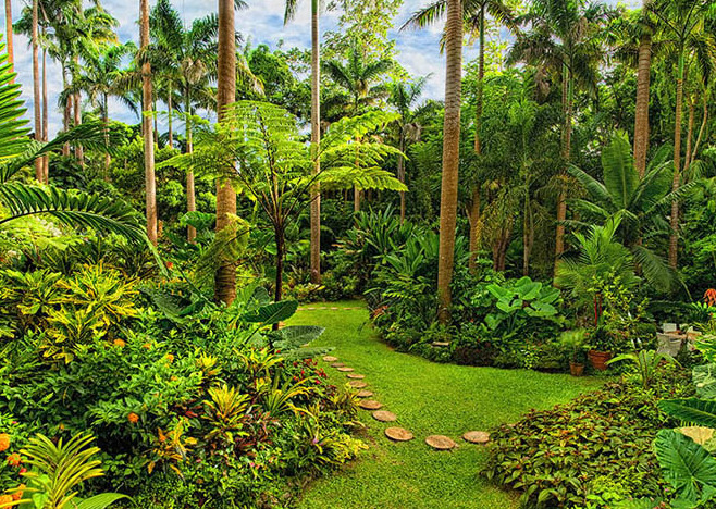 Hunte’s Gardens is a real Caribbean gem — Coffee Gully