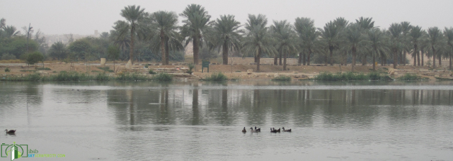 Parcs et lacs d'Al Hair : où la nature et la tradition saoudienne se rencontrent - Riyad | Secret World Trip Planner