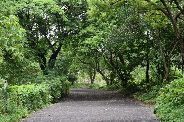 Parque Natural de Maharashtra - Mumbai | Secret World Trip Planner