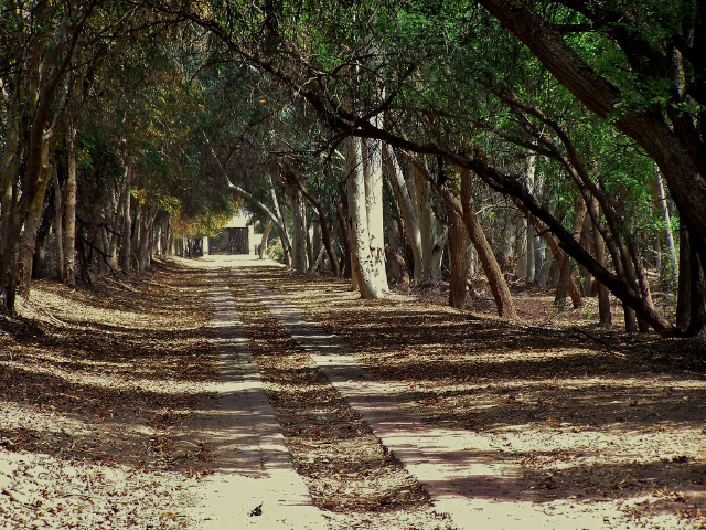 Parc national de Lal Suhanra - Bahawalpur | Secret World Trip Planner