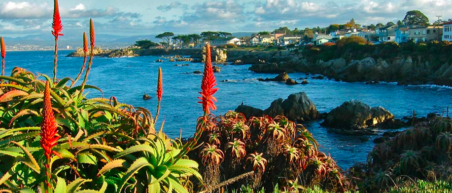 The Monterey Peninsula - Del Monte Forest | Secret World Trip Planner