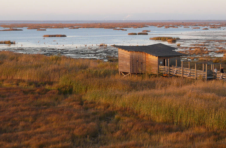 Finland's best bird wetlands: Liminka Bay - Limingoviken | Secret World Trip Planner