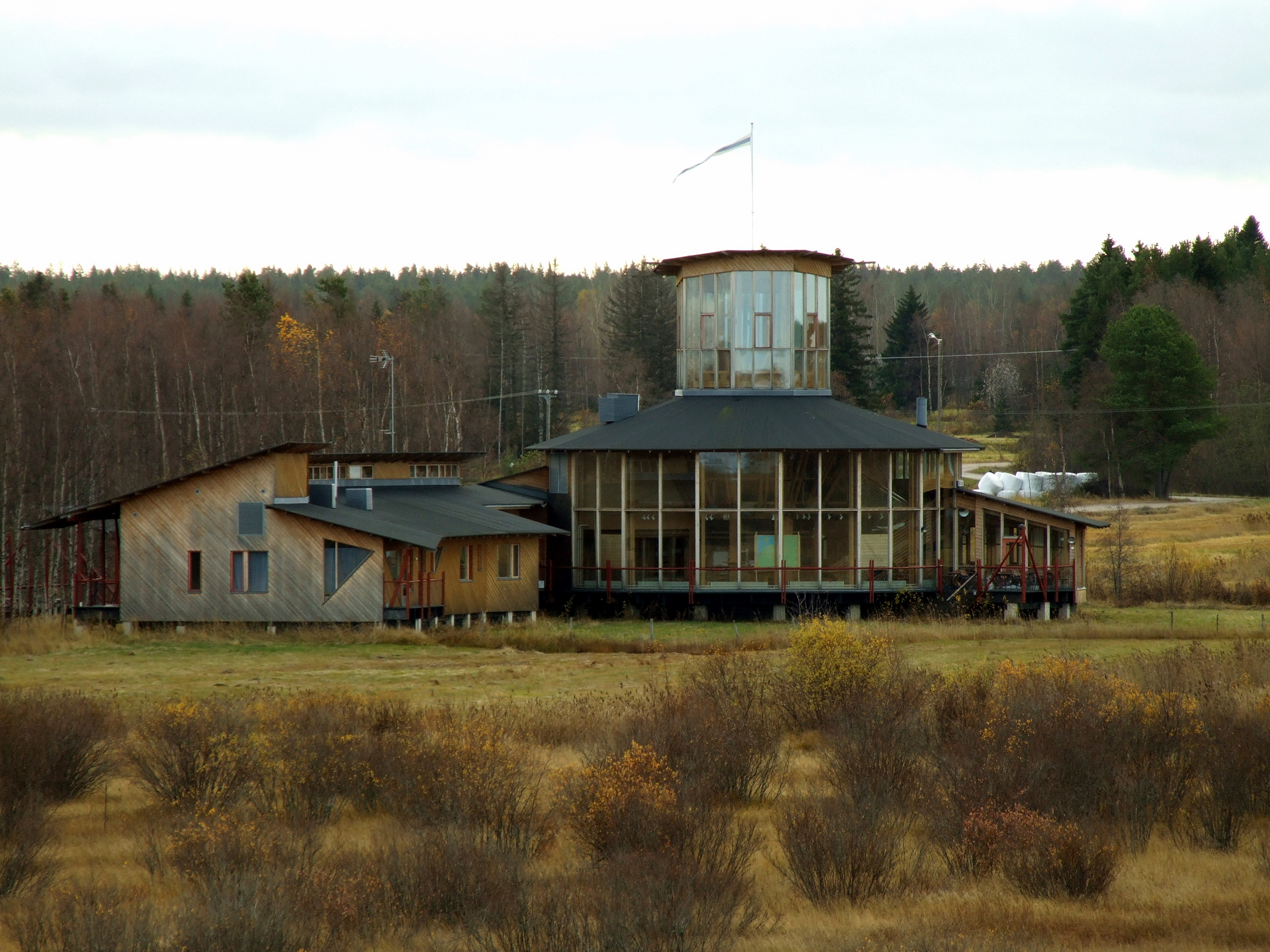 Finland's best bird wetlands: Liminka Bay - Limingoviken | Secret World Trip Planner