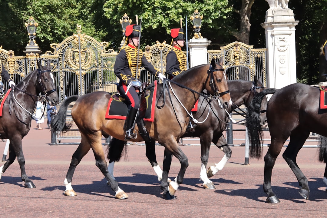El Museo de Caballería de la Casa: un museo vivo en el corazón de la Guardia de Caballería. - Westminster | Secret World Trip Planner